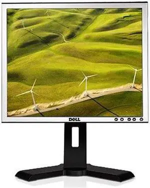 Dell 19" LCD LCD Monitor 5 ms P190S