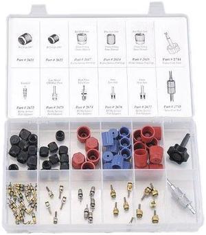 FJC 2663 Cap & Valve Core Assortment w/ Tools