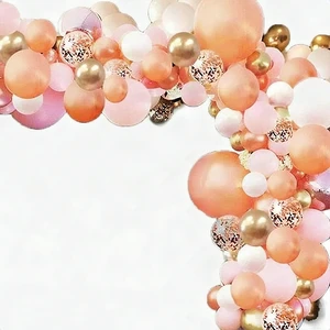 Rose Gold Pink Balloon Decoration Kit 113 Pc Birthday Party Supplies Decor New Rose Gold Pink Balloon Decoration Kit 113 Pc Birthday Party Supplies Decor New