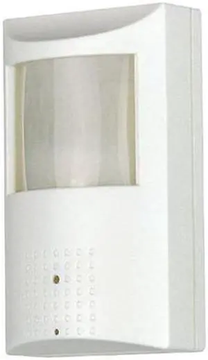 420 TV Line PIR Sensor Camera - 1/3" Sony Super HAD CCD, 3.7mm Pinhole Lens, DC 12V, LT-1905