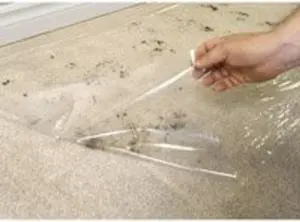 SURFACE SHIELDS CS36500 Carpet Protection, 36 In W x 500 Ft L, 2.5 mil Thick