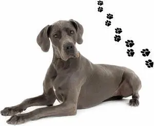 Andreas Round Silicone Mat Jar Opener, Great Dane Dog, 6.25 Inch Andreas Round Silicone Mat Jar Opener, Great Dane Dog, 6.25 Inch