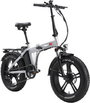 RKS Foldable Electric Bike with 750W Motor, Electric Bicycle with 48V 14.5Ah Battery, 20'' Fat Tires, LCD Display, Front and Rear LED Lights, Professional 7-Speed Gears, Up to 24MPH - Silver/Black