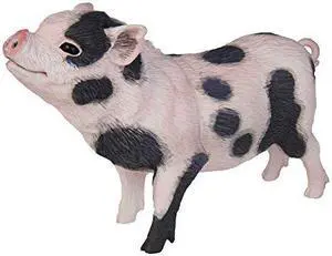 Pot-Bellied Pig