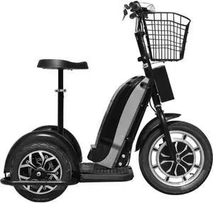 Electric Trike 48v 800w Electric Trike 48v 800w