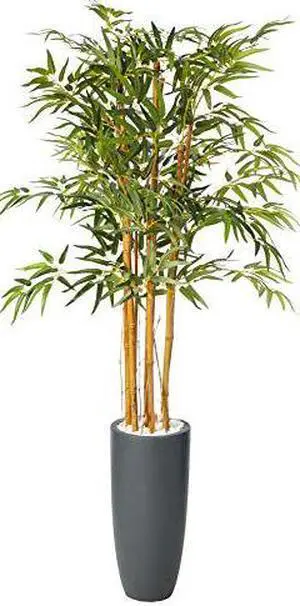 5 Bamboo Tree in Gray Cylinder Planter 5 Bamboo Tree in Gray Cylinder Planter