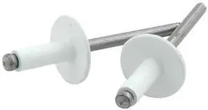 Allstar ALL18156  Large Head Rivet, Aluminum, White, Pack of 250