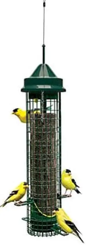 Squirrel Buster Finch Squirrel-proof Bird Feeder w/4 Metal Perches & 8 Feeding Ports, 2.4-pound Thistle/Nyjer Seed Capacity