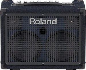 Roland KC-220 Battery-Powered Stereo Keyboard Amplifier, 30-Watt (15W + 15W) Roland KC-220 Battery-Powered Stereo Keyboard Amplifier, 30-Watt (15W + 15W)