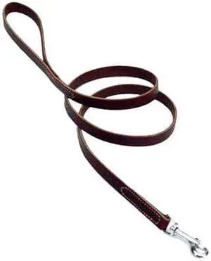 Coastal Pet Latigo Leather Dog Leash Size: 1" W x 72" L