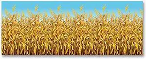 Beistle Cornstalks Plastic Wall Photography Backdrop Harvest Thanksgiving Decorations Fall Autumn Photo Booth Background, 4 x 30, Light Blue/Yellow/Brown