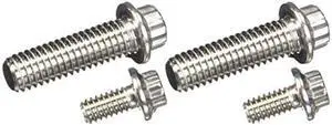 ARP 4301601 Stainless 300 12-Point Fuel Pump Bolt Kit
