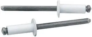 Allstar Performance ALL18114 White 1/4-3/8 in Grip Rivet 250 Pack