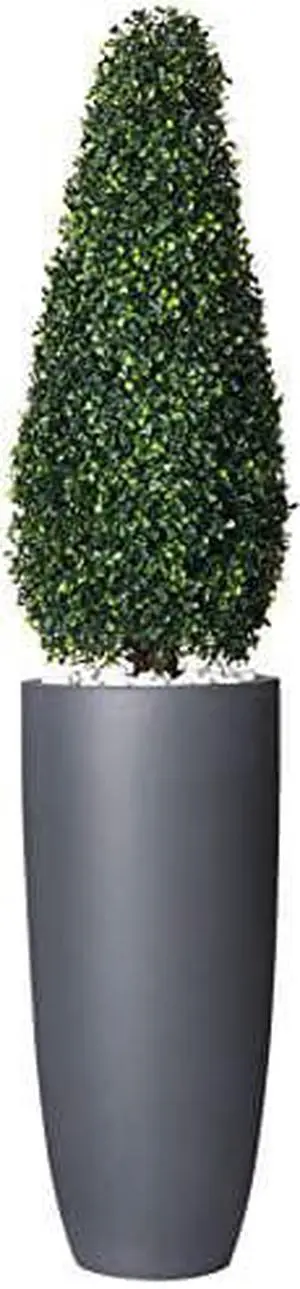 Nearly Natural 1 50 Boxwood Topiary w/Planter (Indoor/UV Outdoor), 11.5 in x 11.5 in x, Green Nearly Natural 1 50 Boxwood Topiary w/Planter (Indoor/UV Outdoor), 11.5 in x 11.5 in x, Green