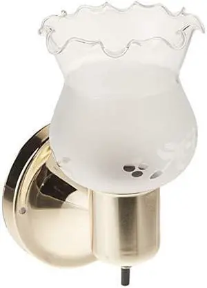 Nuvo SF77/120B Polished Brass Frosted Grape Shade With Frosted Glass With On/Off Switch