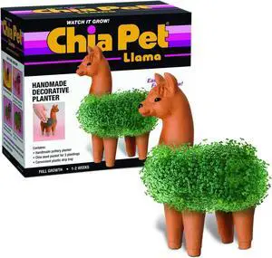 Llama Chia Pet Decorative Planter