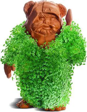 Star Wars Ewok Chia Pet Decorative Pottery Planter