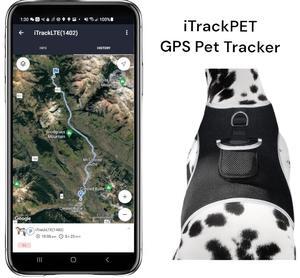 Realtime Gps System Rechargeable Mini Gsm Gprs Portable Pet Tracker Size:L