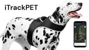 Enhanced Wireless Gprs Gsm Tracking W/ Waterproof Mini Pet Gpstracker Size:Xxl