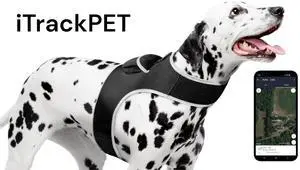 Realiable Realtime Gsm Gprs Tracking Device Waterproof Tracker For Pet Size:Xxl