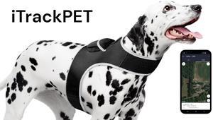 Realtime Waterproof Iphone Apple Dog Tracker Mini Collar Mount Locator Size:Xxl
