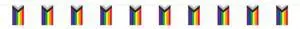 Lgbtq+ Pride Flag Pennant Banner - Celebrate Diversity And Inclusivity!