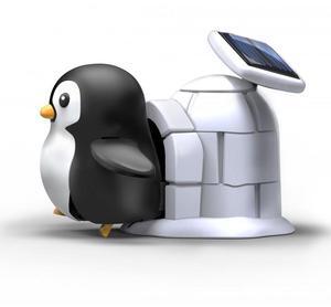 Owi Penguin Life