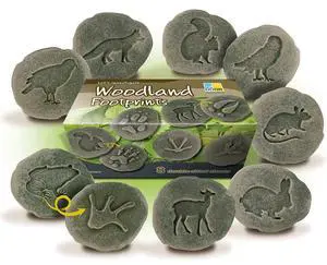 LETS INVESTIGATE WOODLAND FOOTPRINT LETS INVESTIGATE WOODLAND FOOTPRINT