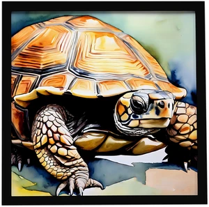 Turtles Tortoises Framed Metal Print Bathroom, Kitchen, Office, Home Decor Wall Art Ready to Hang, Square, 8X8 Turtles Tortoises Framed Metal Print Bathroom, Kitchen, Office, Home Decor Wall Art Ready to Hang, Square, 8X8