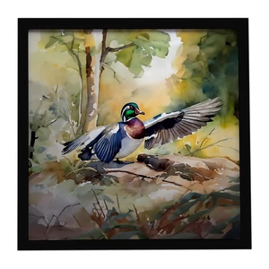 Wood Duck Framed Metal Print Bathroom, Kitchen, Office, Home Decor Wall Art Ready to Hang, Square, 8X8 Wood Duck Framed Metal Print Bathroom, Kitchen, Office, Home Decor Wall Art Ready to Hang, Square, 8X8