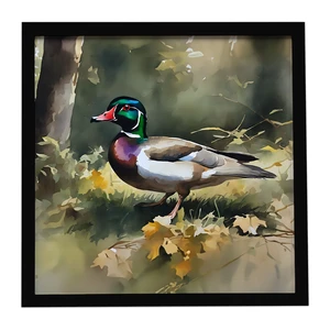 Wood Duck Framed Metal Print Bathroom, Kitchen, Office, Home Decor Wall Art Ready to Hang, Square, 8X8 Wood Duck Framed Metal Print Bathroom, Kitchen, Office, Home Decor Wall Art Ready to Hang, Square, 8X8