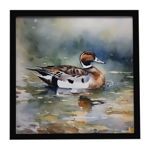 Northern Pintail Framed Metal Print Bathroom, Kitchen, Office, Home Decor Wall Art Ready to Hang, Square, 8X8 Northern Pintail Framed Metal Print Bathroom, Kitchen, Office, Home Decor Wall Art Ready to Hang, Square, 8X8