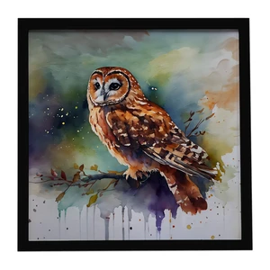 Tawny Owl Framed Metal Print Bathroom, Kitchen, Office, Home Decor Wall Art Ready to Hang, Square, 8X8 Tawny Owl Framed Metal Print Bathroom, Kitchen, Office, Home Decor Wall Art Ready to Hang, Square, 8X8