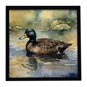 American Black Duck Framed Metal Print Bathroom, Kitchen, Office, Home Decor Wall Art Ready to Hang, Square, 8X8 American Black Duck Framed Metal Print Bathroom, Kitchen, Office, Home Decor Wall Art Ready to Hang, Square, 8X8