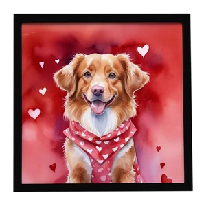 Nova Scotia Duck Tolling Retriever My Valentine Framed Metal Print Bathroom, Kitchen, Office, Home Decor Wall Art Ready to Hang, Square, 8X8 Nova Scotia Duck Tolling Retriever My Valentine Framed Metal Print Bathroom, Kitchen, Office, Home Decor Wall Art Ready to Hang, Square, 8X8