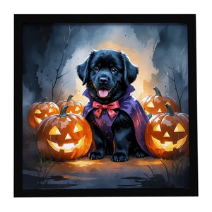 Black Newfoundland Puppy Halloween Framed Metal Print Bathroom, Kitchen, Office, Home Decor Wall Art Ready to Hang, Square, 8X8 Black Newfoundland Puppy Halloween Framed Metal Print Bathroom, Kitchen, Office, Home Decor Wall Art Ready to Hang, Square, 8X8