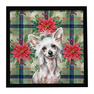 Hairless Mottled Pattern Chinese Crested Christmas PoinsettIas Framed Metal Print Bathroom, Kitchen, Office, Home Decor Wall Art Ready to Hang, Square, 8X8 Hairless Mottled Pattern Chinese Crested Christmas PoinsettIas Framed Metal Print Bathroom, Kitchen, Office, Home Decor Wall Art Ready to Hang, Square, 8X8