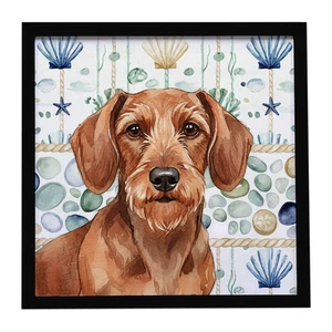 Wirehaired Red Dachshund Coastal Sea Glass Framed Metal Print Bathroom, Kitchen, Office, Home Decor Wall Art Ready to Hang, Square, 8X8 Wirehaired Red Dachshund Coastal Sea Glass Framed Metal Print Bathroom, Kitchen, Office, Home Decor Wall Art Ready to Hang, Square, 8X8