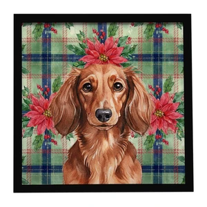 Longhaired Red Dachshund Christmas PoinsettIas Framed Metal Print Bathroom, Kitchen, Office, Home Decor Wall Art Ready to Hang, Square, 8X8 Longhaired Red Dachshund Christmas PoinsettIas Framed Metal Print Bathroom, Kitchen, Office, Home Decor Wall Art Ready to Hang, Square, 8X8
