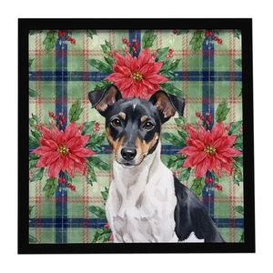 Black and White Rat Terrier Christmas PoinsettIas Framed Metal Print Bathroom, Kitchen, Office, Home Decor Wall Art Ready to Hang, Square, 8X8 Black and White Rat Terrier Christmas PoinsettIas Framed Metal Print Bathroom, Kitchen, Office, Home Decor Wall Art Ready to Hang, Square, 8X8