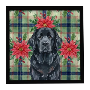 Black Newfoundland Christmas PoinsettIas Framed Metal Print Bathroom, Kitchen, Office, Home Decor Wall Art Ready to Hang, Square, 8X8 Black Newfoundland Christmas PoinsettIas Framed Metal Print Bathroom, Kitchen, Office, Home Decor Wall Art Ready to Hang, Square, 8X8