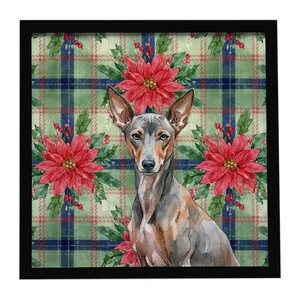 Xoloitzcuintli Christmas PoinsettIas Framed Metal Print Bathroom, Kitchen, Office, Home Decor Wall Art Ready to Hang, Square, 8X8 Xoloitzcuintli Christmas PoinsettIas Framed Metal Print Bathroom, Kitchen, Office, Home Decor Wall Art Ready to Hang, Square, 8X8
