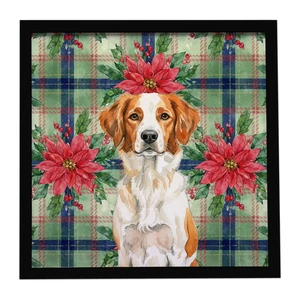 Orange and White Brittany Christmas PoinsettIas Framed Metal Print Bathroom, Kitchen, Office, Home Decor Wall Art Ready to Hang, Square, 8X8 Orange and White Brittany Christmas PoinsettIas Framed Metal Print Bathroom, Kitchen, Office, Home Decor Wall Art Ready to Hang, Square, 8X8