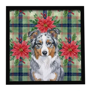 Blue Merle American Shepherd Christmas PoinsettIas Framed Metal Print Bathroom, Kitchen, Office, Home Decor Wall Art Ready to Hang, Square, 8X8 Blue Merle American Shepherd Christmas PoinsettIas Framed Metal Print Bathroom, Kitchen, Office, Home Decor Wall Art Ready to Hang, Square, 8X8