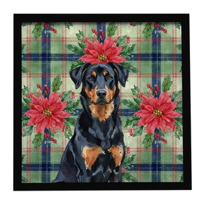 Beauceron Christmas PoinsettIas Framed Metal Print Bathroom, Kitchen, Office, Home Decor Wall Art Ready to Hang, Square, 8X8 Beauceron Christmas PoinsettIas Framed Metal Print Bathroom, Kitchen, Office, Home Decor Wall Art Ready to Hang, Square, 8X8