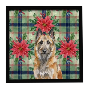 Belgian Laekenois Christmas PoinsettIas Framed Metal Print Bathroom, Kitchen, Office, Home Decor Wall Art Ready to Hang, Square, 8X8 Belgian Laekenois Christmas PoinsettIas Framed Metal Print Bathroom, Kitchen, Office, Home Decor Wall Art Ready to Hang, Square, 8X8
