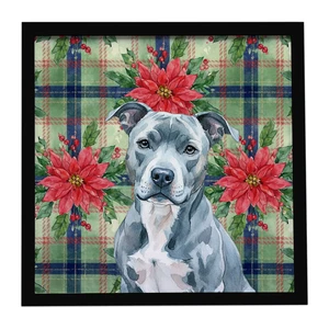 Blue American Staffordshire Terrier Christmas PoinsettIas Framed Metal Print Bathroom, Kitchen, Office, Home Decor Wall Art Ready to Hang, Square, 8X8 Blue American Staffordshire Terrier Christmas PoinsettIas Framed Metal Print Bathroom, Kitchen, Office, Home Decor Wall Art Ready to Hang, Square, 8X8