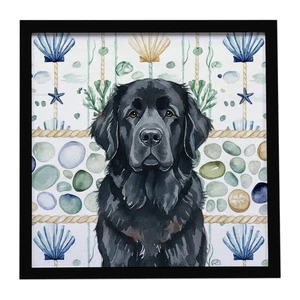 Black Newfoundland Coastal Sea Glass Framed Metal Print Bathroom, Kitchen, Office, Home Decor Wall Art Ready to Hang, Square, 8X8 Black Newfoundland Coastal Sea Glass Framed Metal Print Bathroom, Kitchen, Office, Home Decor Wall Art Ready to Hang, Square, 8X8