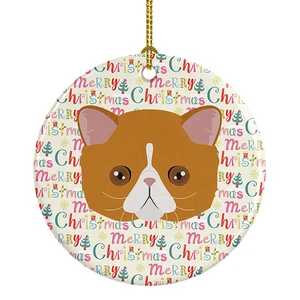 Exotic Shorthair Cat Christmas Ceramic Ornament Christmas Tree Hanging Decorations for Home Christmas Holiday, Party, Gift, 3 in, Multicolor Exotic Shorthair Cat Christmas Ceramic Ornament Christmas Tree Hanging Decorations for Home Christmas Holiday, Party, Gift, 3 in, Multicolor