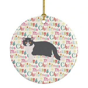 Exotic Shorthair #2 Cat Christmas Ceramic Ornament Christmas Tree Hanging Decorations for Home Christmas Holiday, Party, Gift, 3 in, Multicolor Exotic Shorthair #2 Cat Christmas Ceramic Ornament Christmas Tree Hanging Decorations for Home Christmas Holiday, Party, Gift, 3 in, Multicolor